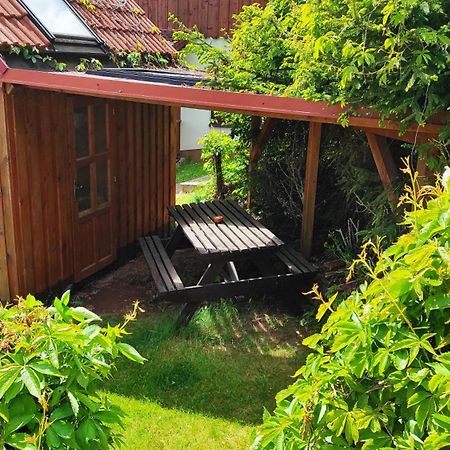 Pension U Holzäpfelů - apartmán Červený Kostelec Esterno foto